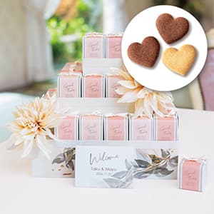 ダリアグレース（コーラルP） 34個セット
