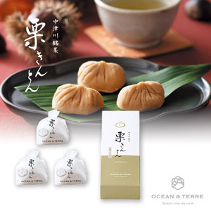 中津川銘菓 栗きんとん3個（賞味期限：20日）